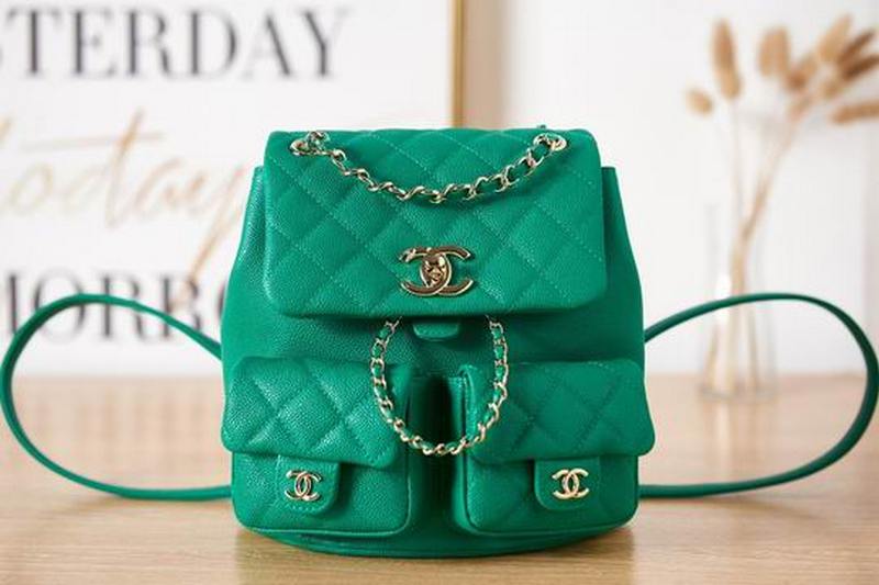 Chanel Handbags 581